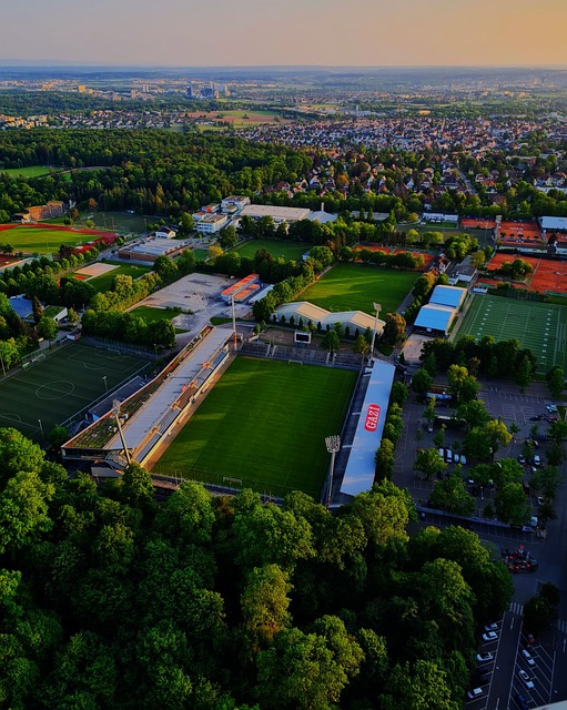 在这个充满 在这个充满