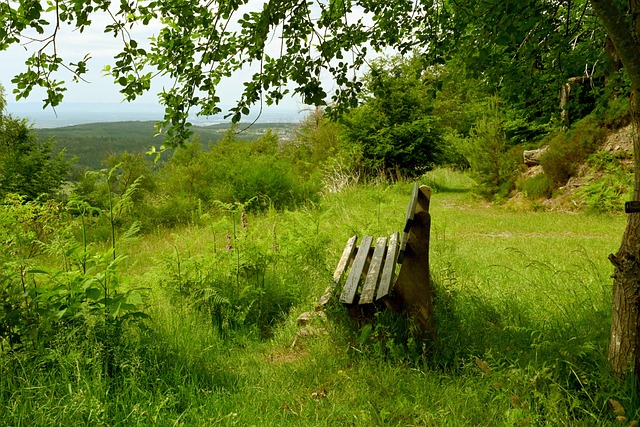 上这件球衣 上这件球衣