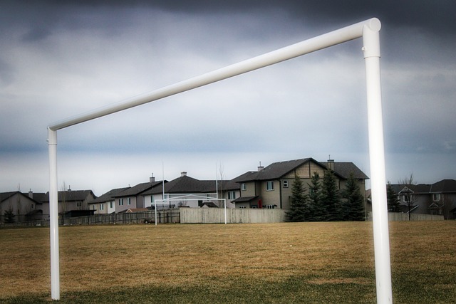 的几率极高 的几率极高