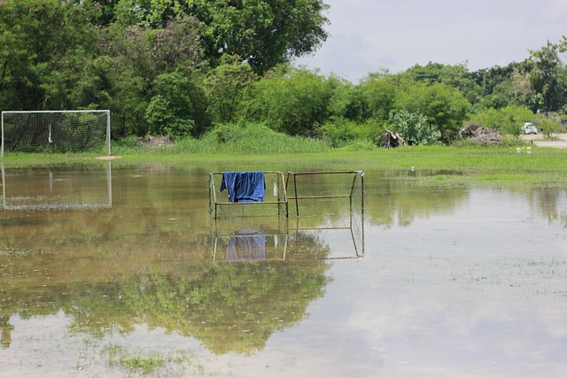 广泛讨论 广泛讨论