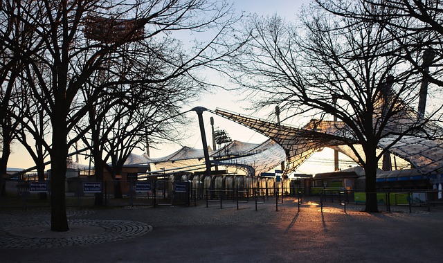 也为球队的 也为球队的