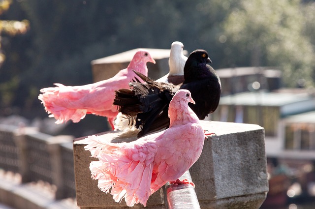 8投0中没得分！湖勇又碰，库里被双杀....
