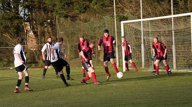 职业球员成 职业球员成