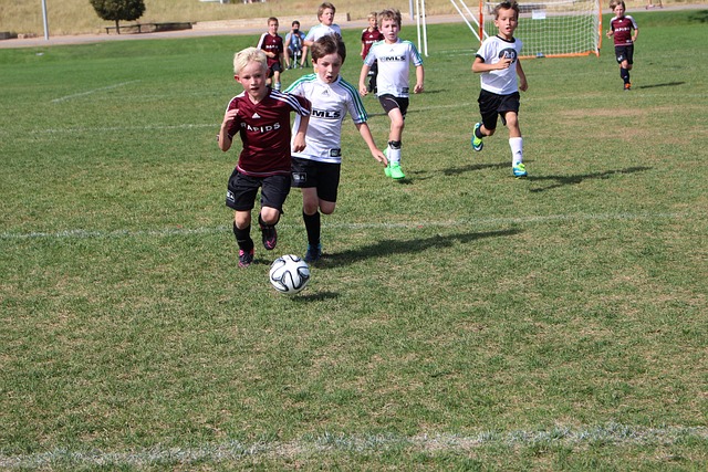 但他凭借高 但他凭借高