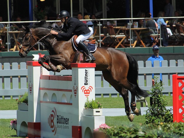 凭借其无与 凭借其无与