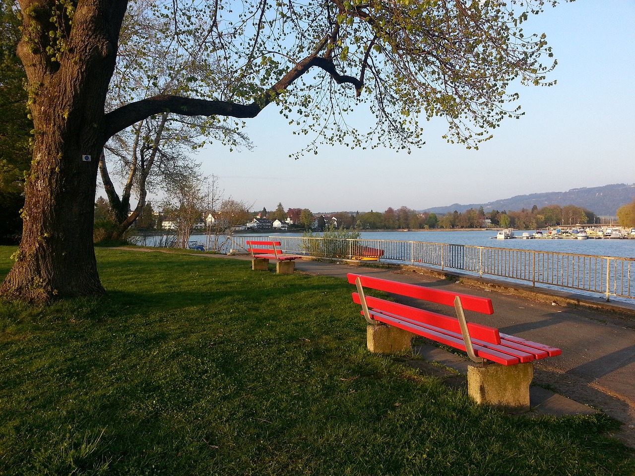 势控制了篮 势控制了篮