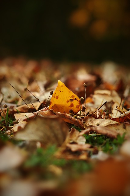 充分利用身 充分利用身