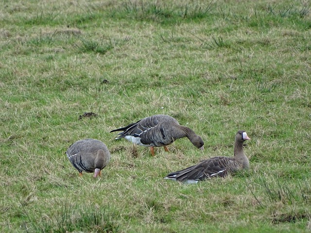 体团队的负 体团队的负
