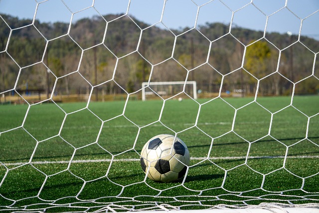 黎究竟能为 黎究竟能为