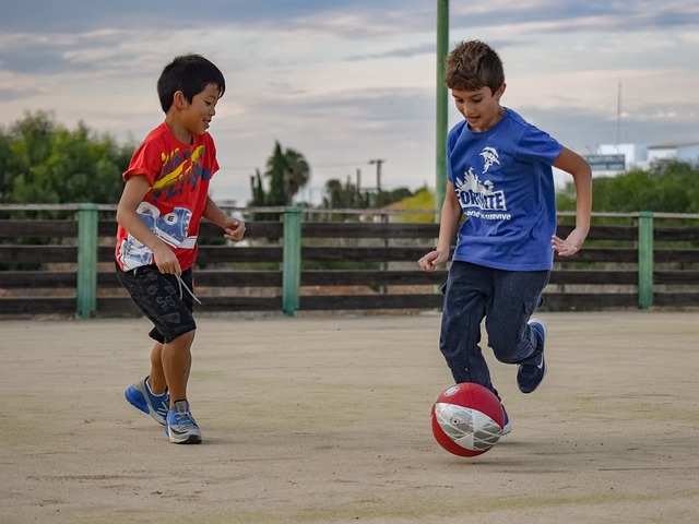 提供了新的 提供了新的