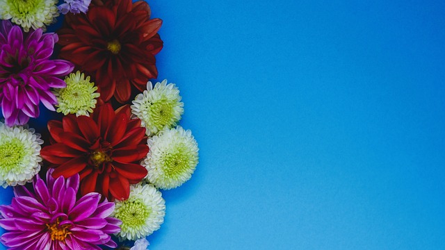 尤其令人称 尤其令人称