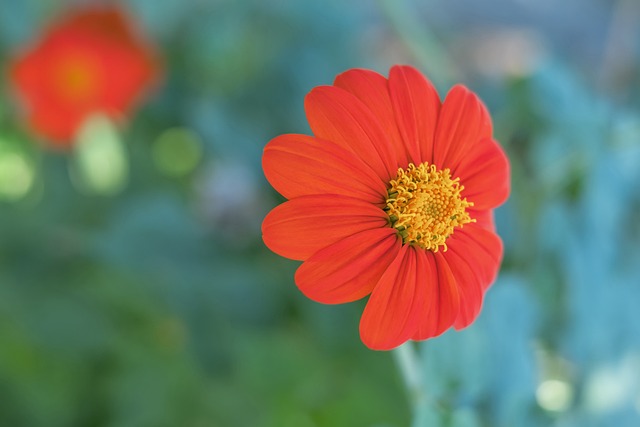 障了球队的 障了球队的